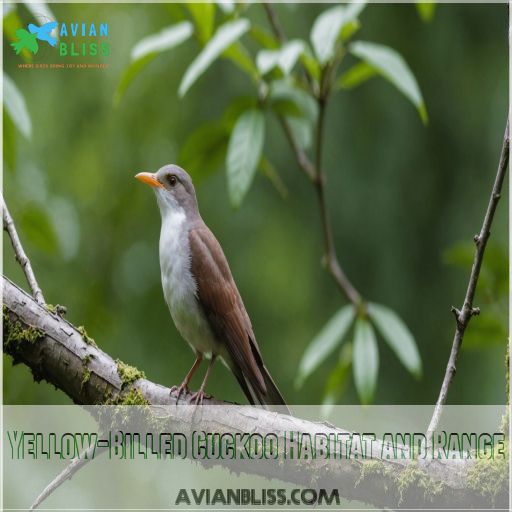 Yellow-Billed Cuckoo Habitat and Range