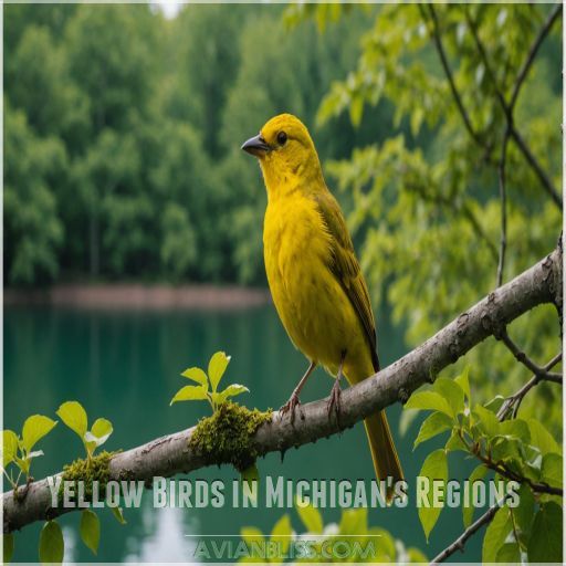 Yellow Birds in Michigan