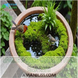 Adding Moving Water to Your Bird Bath