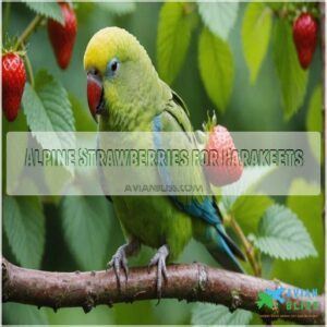 Alpine Strawberries for Parakeets