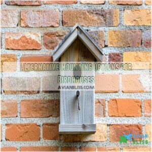 Alternative Mounting Options for Birdhouses