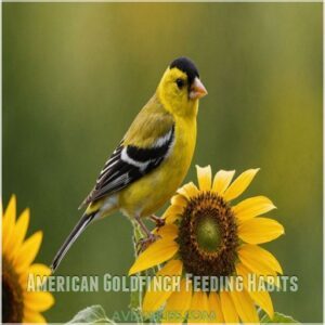 American Goldfinch Feeding Habits