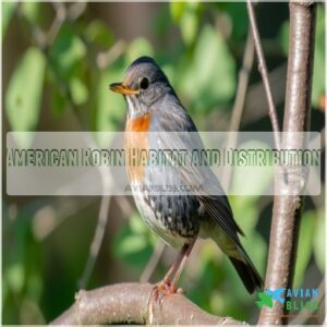 American Robin Habitat and Distribution