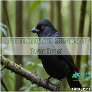 Appreciation and Research of Black Birds