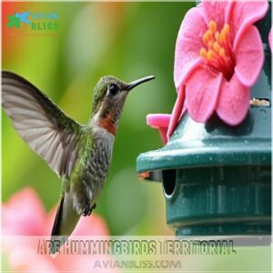 Are Hummingbirds Territorial