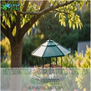 Attracting Birds to Your Yard in California