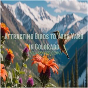 Attracting Birds to Your Yard in Colorado