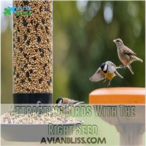 Attracting Birds With The Right Seed