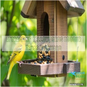 Attracting Yellow Birds to Your Texas Backyard