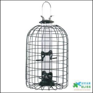 Audubon Squirrel Proof Caged Tube