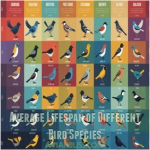 Average Lifespan of Different Bird Species