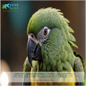 Avian Influenza and Parrots