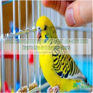 avian respiratory infection first aid