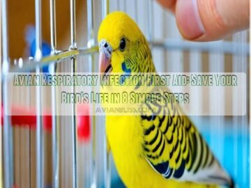 avian respiratory infection first aid