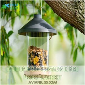 Avoiding Common Mistakes in Bird Feeder Placement