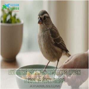 Avoiding Common Mistakes When Feeding Sick Birds