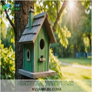 Backyard Birdhouse Plan