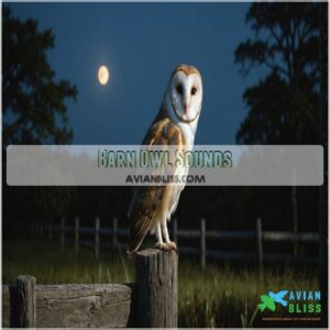 Barn Owl Sounds