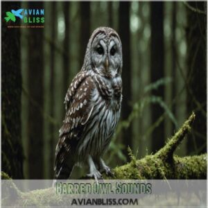 Barred Owl Sounds