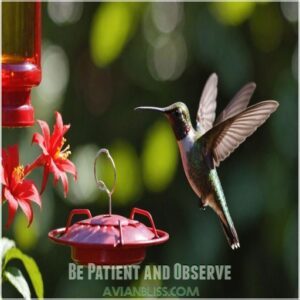 Be Patient and Observe