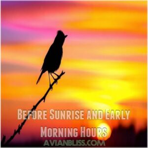 Before Sunrise and Early Morning Hours