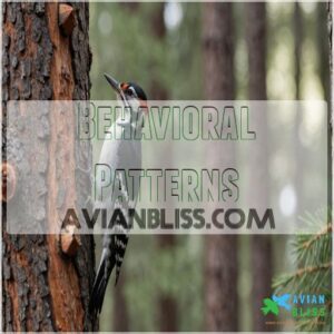 Behavioral Patterns