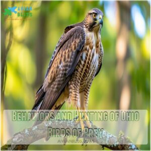 Behaviors and Hunting of Ohio Birds of Prey