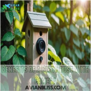 Benefits of a Bird House With Camera