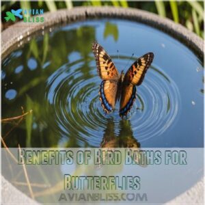 Benefits of Bird Baths for Butterflies