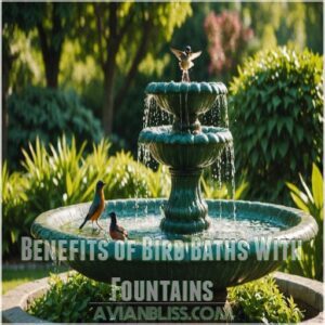 Benefits of Bird Baths With Fountains