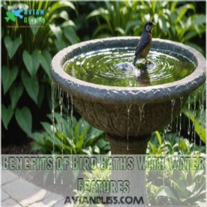 Benefits of Bird Baths With Water Features