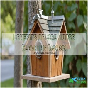 Benefits of Bird House Cleaning Access