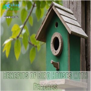 Benefits of Bird Houses With Perches