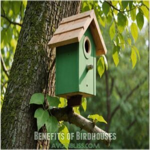 Benefits of Birdhouses