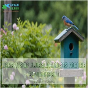 Benefits of Bluebird Houses for The Environment