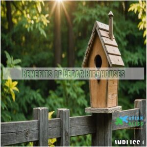 Benefits of Cedar Birdhouses