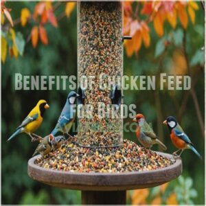 Benefits of Chicken Feed for Birds