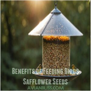 Benefits of Feeding Birds Safflower Seeds