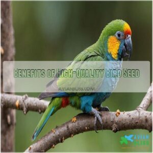 Benefits of High-Quality Bird Seed