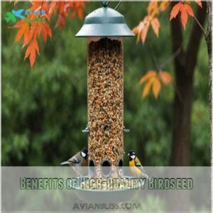 Benefits of High-Quality Birdseed