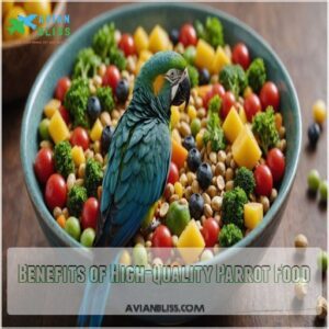 Benefits of High-Quality Parrot Food