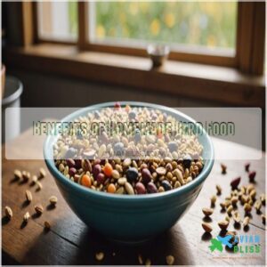 Benefits of Homemade Bird Food