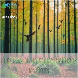 Benefits of Identifying Birds by Song