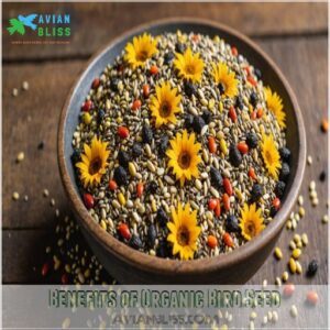 Benefits of Organic Bird Seed