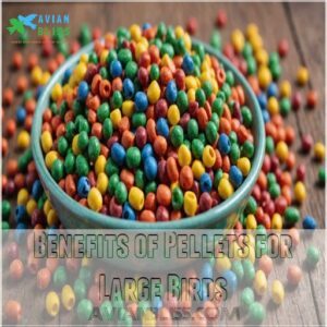 Benefits of Pellets for Large Birds