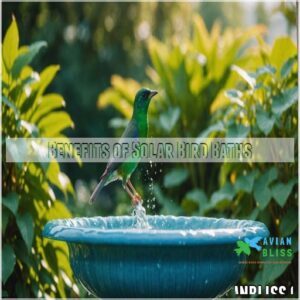 Benefits of Solar Bird Baths