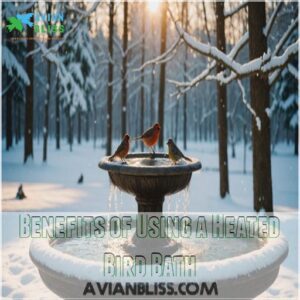 Benefits of Using a Heated Bird Bath