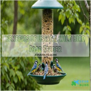 Benefits of Using a Wild Bird Food Feeder