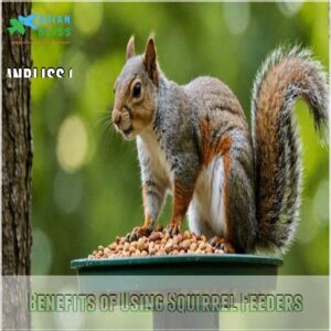 Benefits of Using Squirrel Feeders