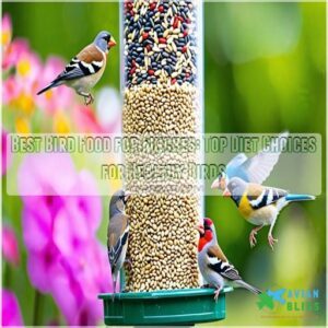 best bird food for finches